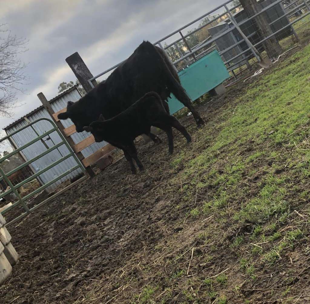 clagg feed and supply | 5168walnut rd, Vacaville, CA 95687, USA | Phone: (707) 471-8374