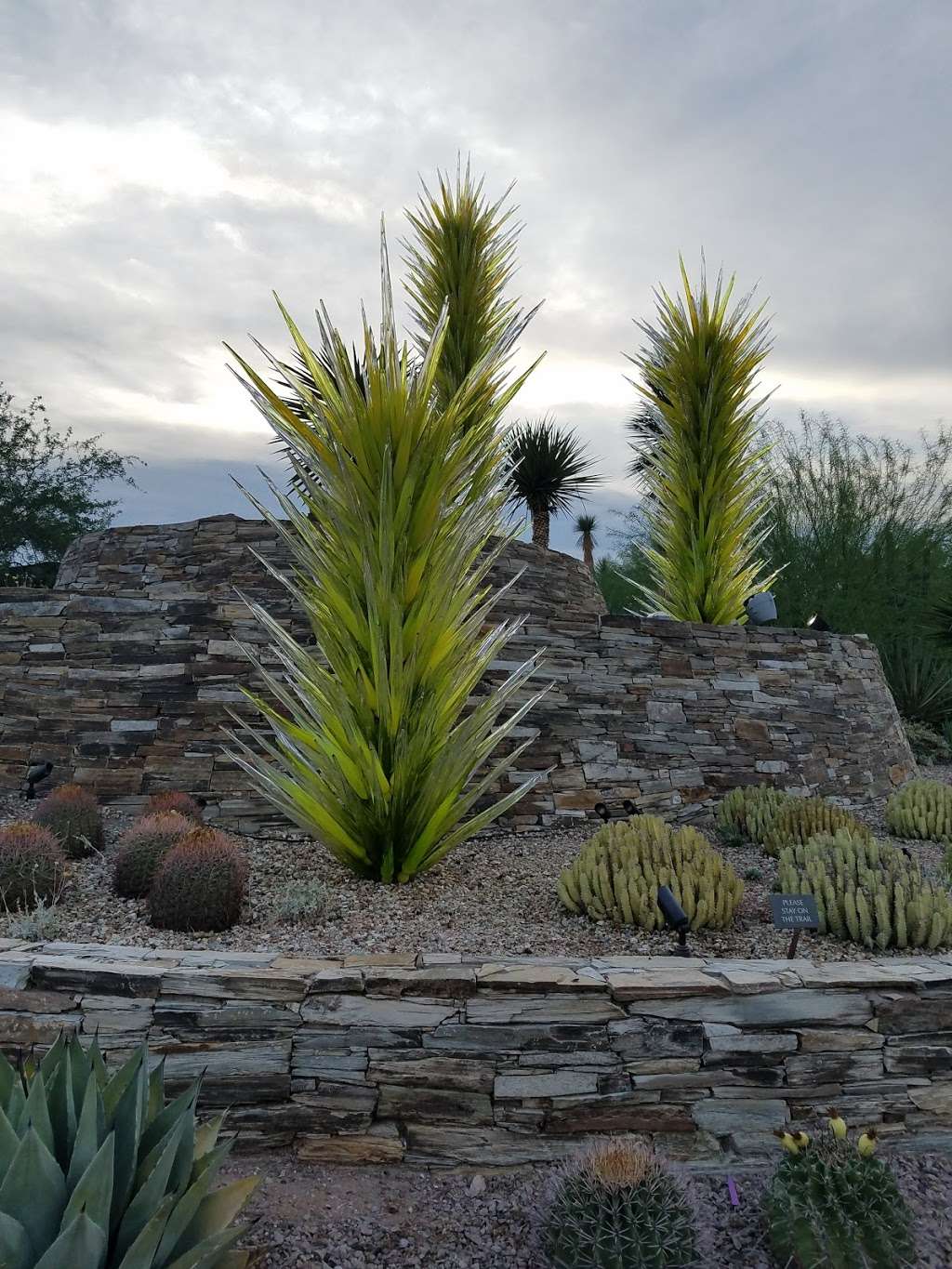 Desert Botanical Garden | Phoenix, AZ 85008, USA