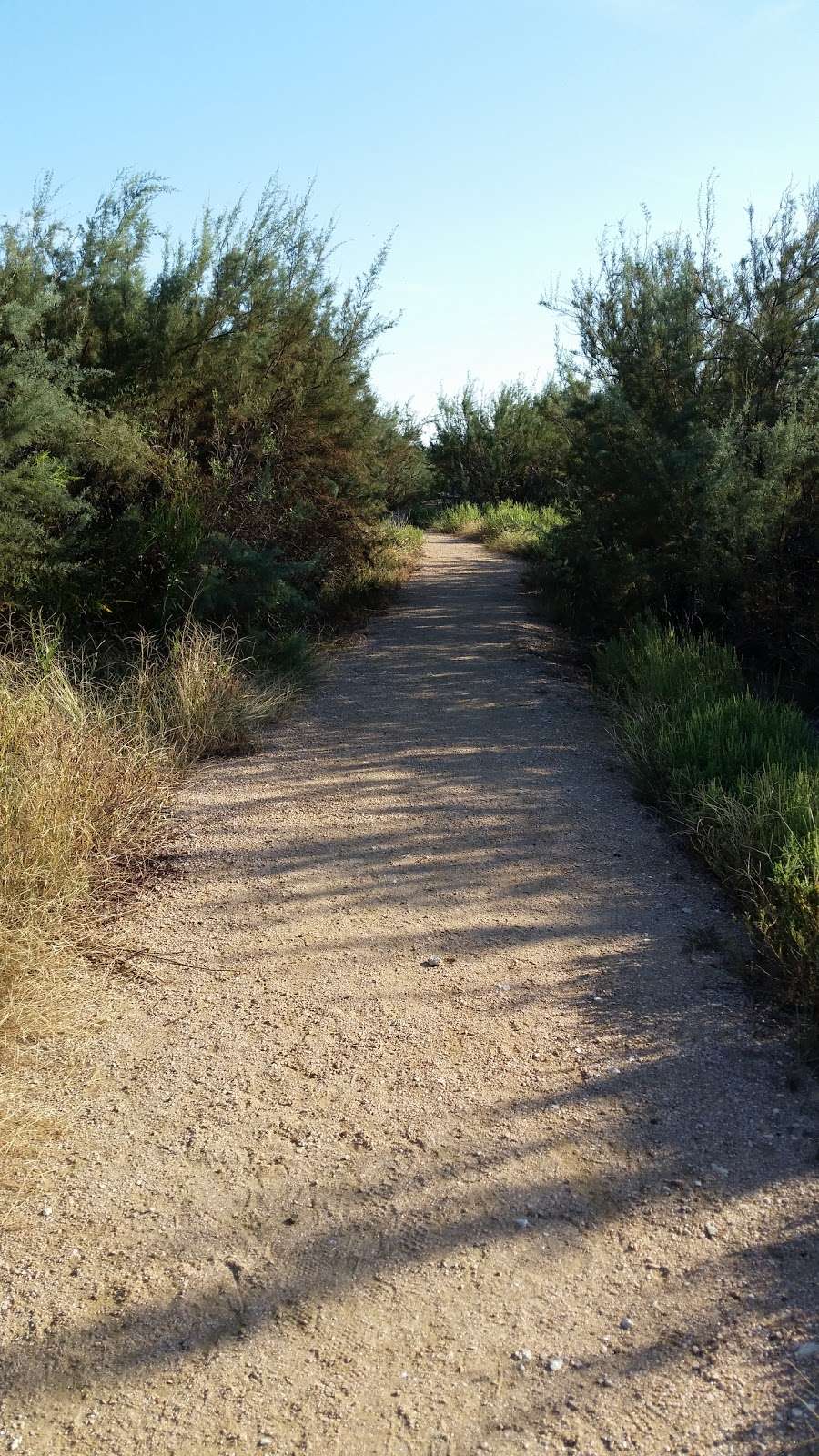 Kelly Hamby Nature Trail | 12083-12135 Bluewater Hwy, Freeport, TX 77541, USA