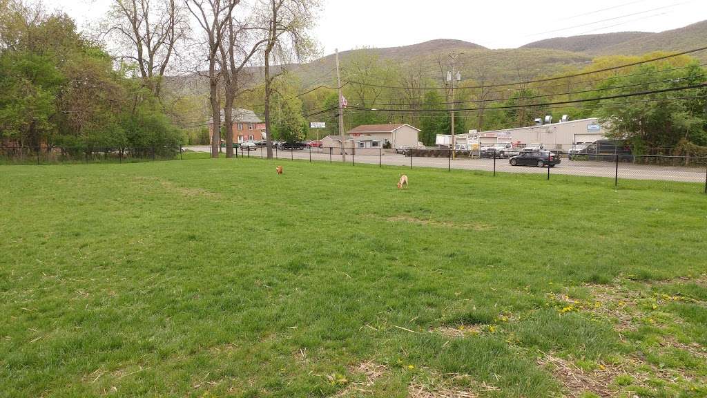 Friends of Beacon Dog Park | 195 Robert Cahill Dr, Beacon, NY 12508 | Phone: (845) 445-7595