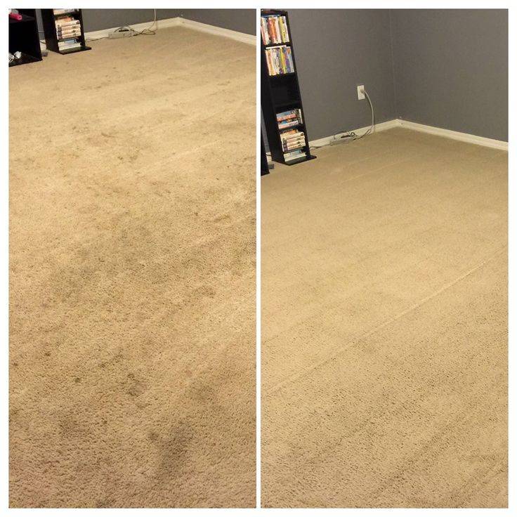 Carpet Cleaning Service Dallas TX | 3078 Grayson Dr, Dallas, TX 75224 | Phone: (972) 591-1638