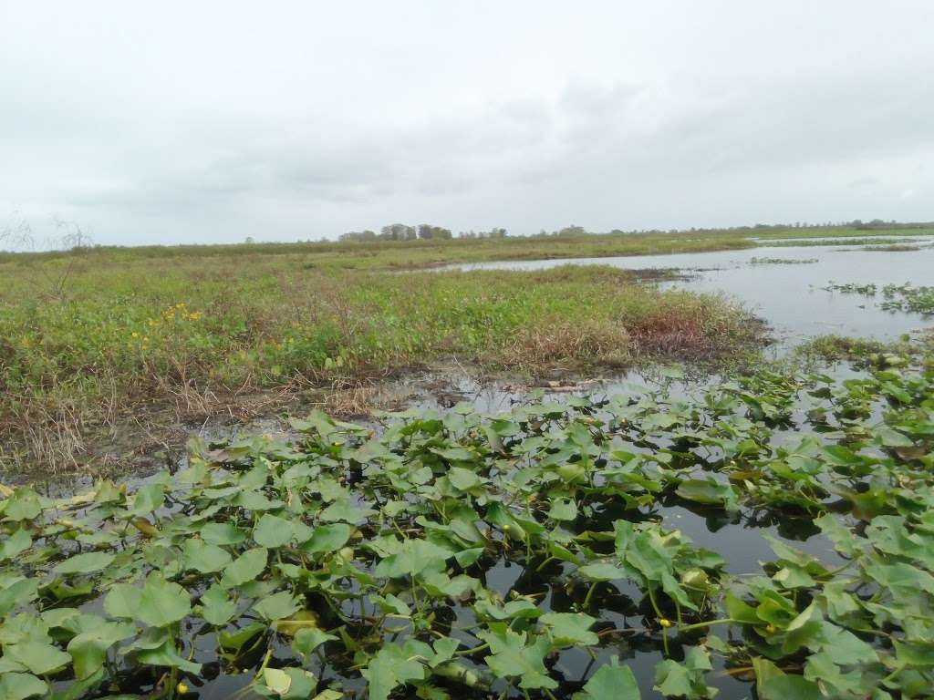 ALLIGATORS UNLIMITED AIRBOAT NATURE TOURS | 14400 Reese Dr, Lake Wales, FL 33898, USA | Phone: (863) 696-0313