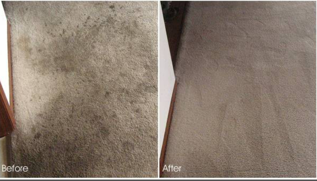 Full Steam Ahead Carpet Clean | 13287 Topock Rd, Apple Valley, CA 92308, USA | Phone: (760) 952-1701