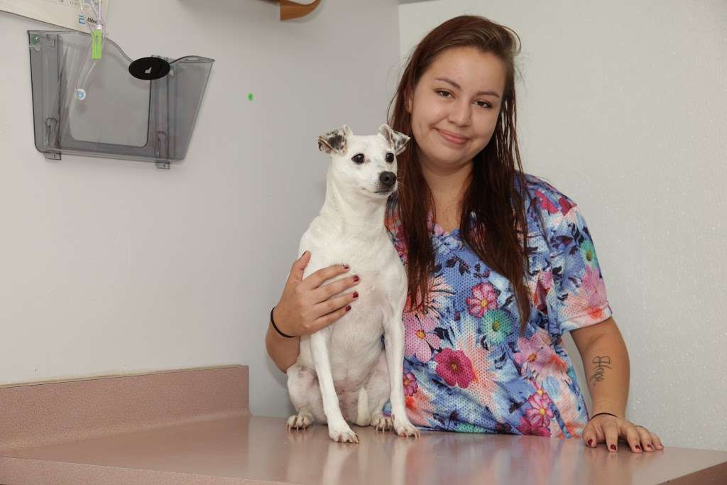 West Allis Veterinary Clinic | 11504 W Greenfield Ave, West Allis, WI 53214, USA | Phone: (414) 453-4344