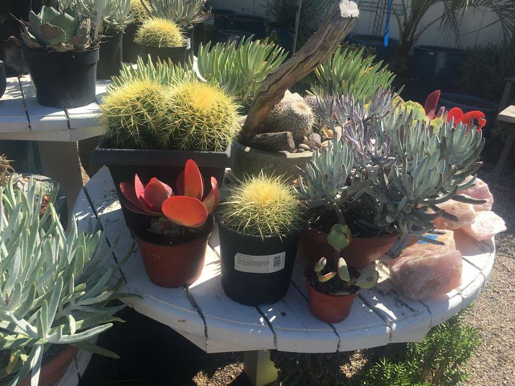 Gardens By The Sea Nursery | 1500 N Coast Hwy 101, Encinitas, CA 92024, USA | Phone: (760) 840-0270