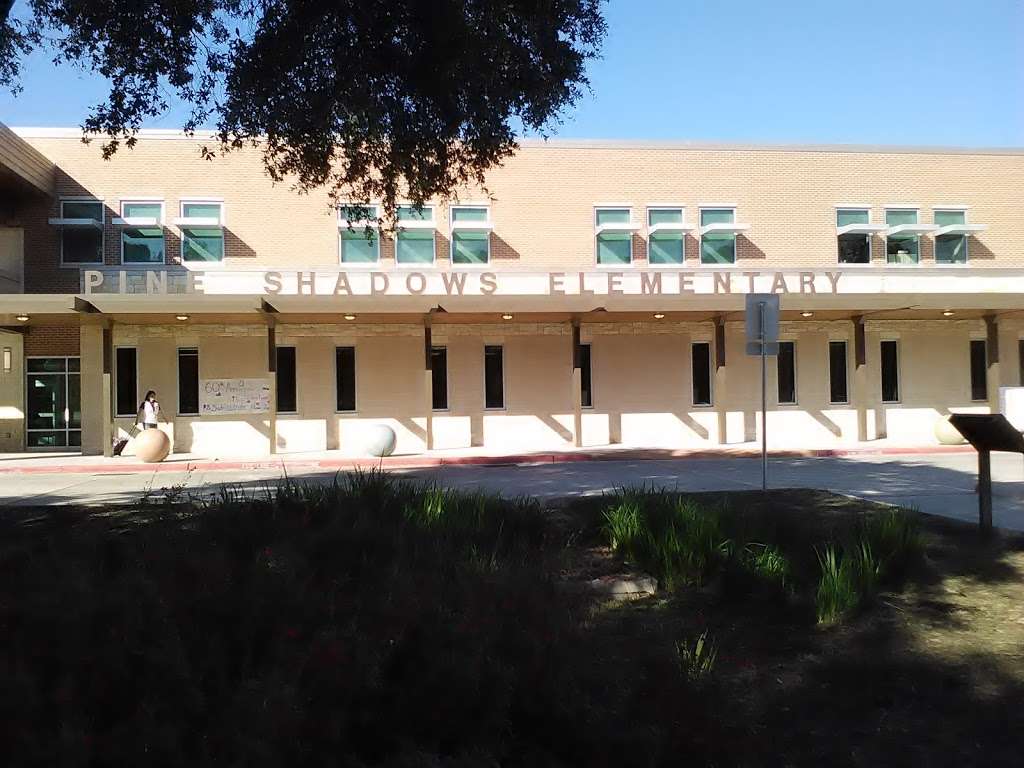 Pine Shadows Elementary School | 9900 Neuens Rd, Houston, TX 77080, USA | Phone: (713) 251-6500