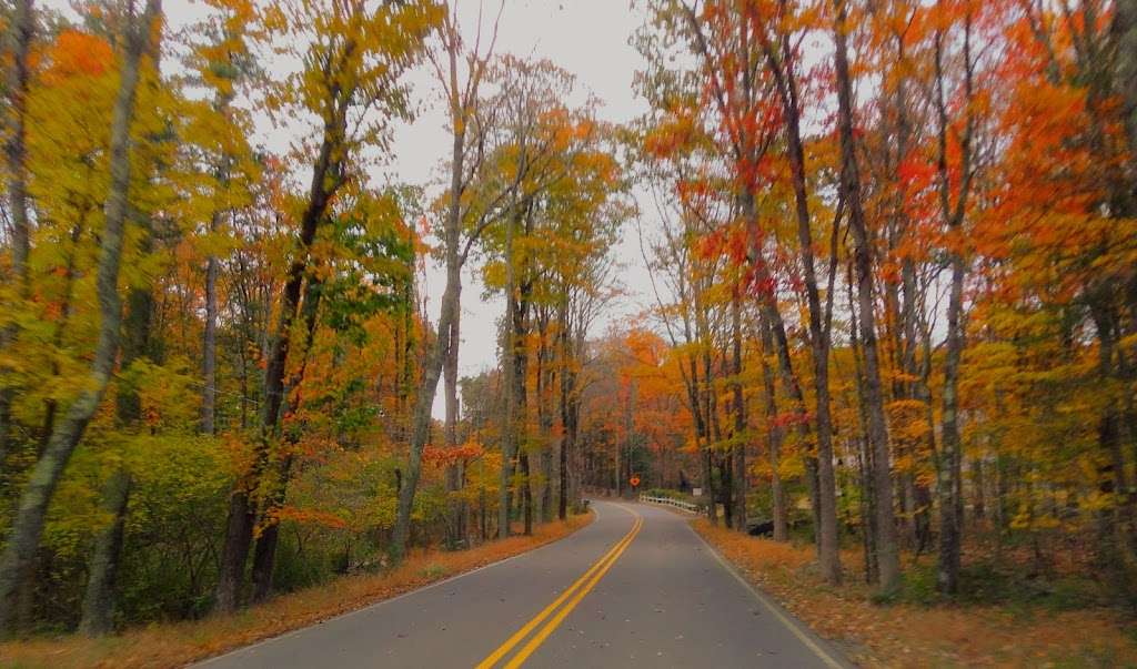 Tannersville Cranberry Bog Preserve | East Stroudsburg, PA 18301, USA | Phone: (703) 841-5300