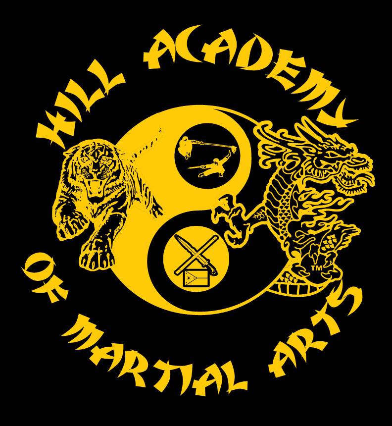 Hill Academy Of Martial Arts | 817 Daybreak Dr, Avon, IN 46123, USA | Phone: (219) 779-2149