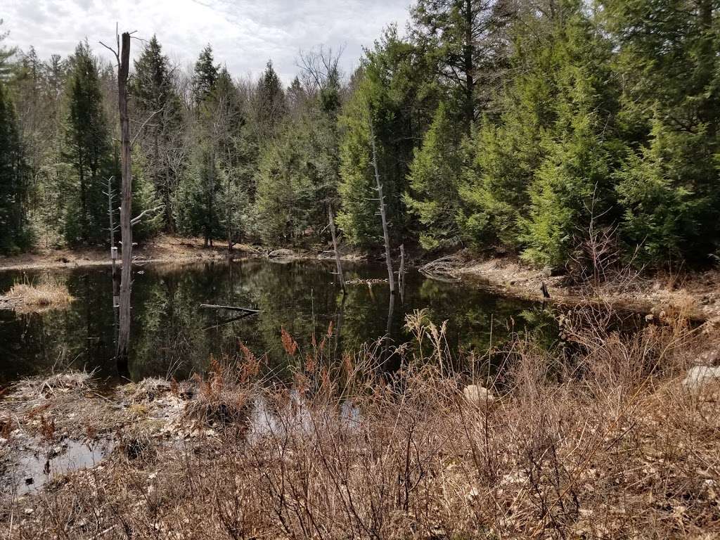 Grater Woods Trail | Gateway Trail, Merrimack, NH 03054, USA