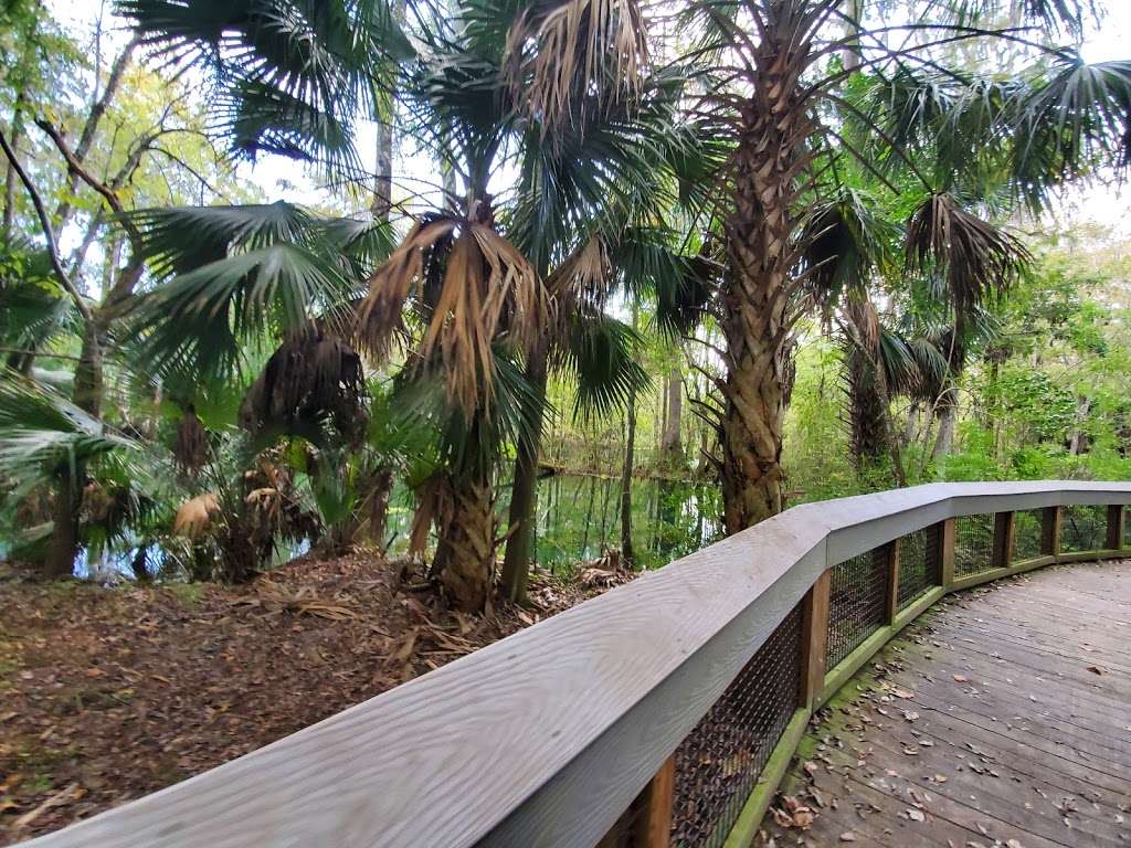 Silver Springs State Park | 5656 E Silver Springs Blvd, Silver Springs, FL 34488, USA | Phone: (352) 261-5840