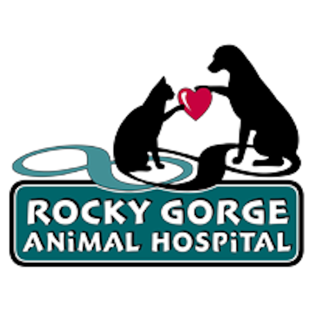 Rocky Gorge Animal Hospital, Resort & Spa | 7515 Brooklyn Bridge Rd, Laurel, MD 20707, USA | Phone: (301) 776-7744