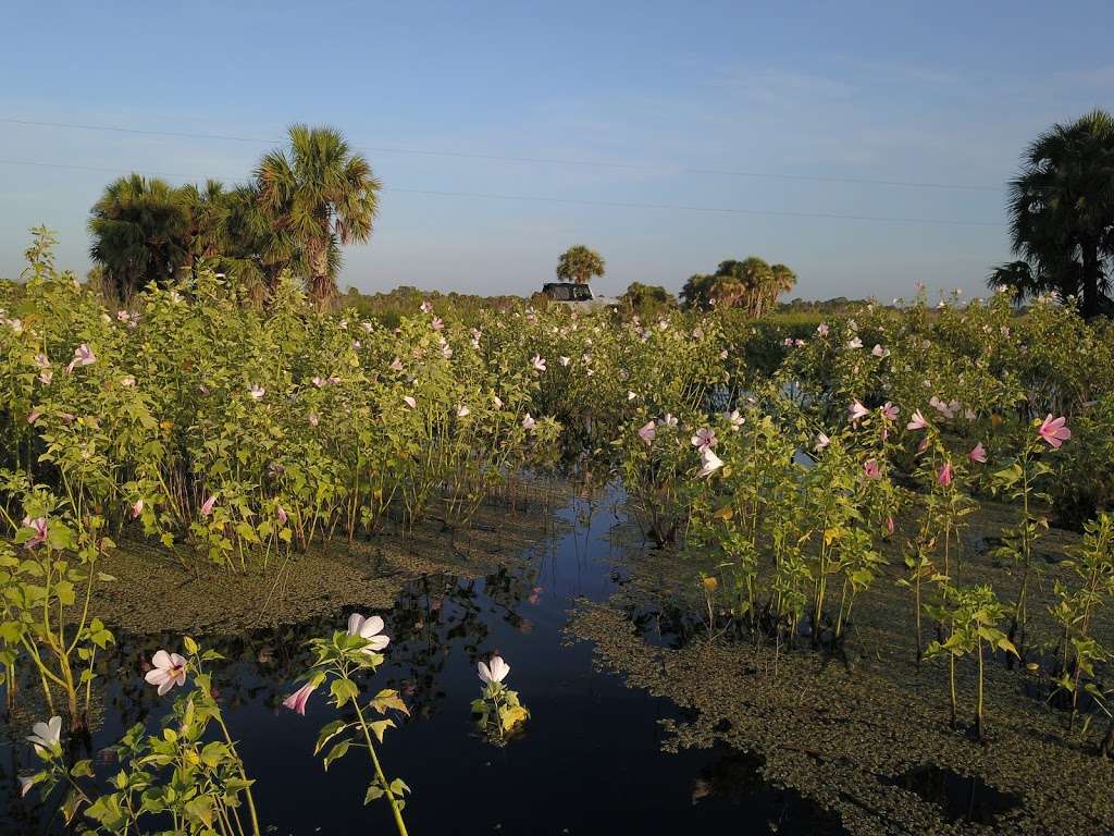 Salt Lake Wildlife Management Area | Mims, FL 32754, USA