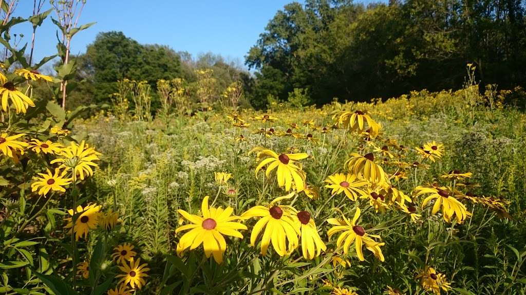 St. Catherines Trout Ponds | 5021-5083 4 Mile Rd, Racine, WI 53402, USA