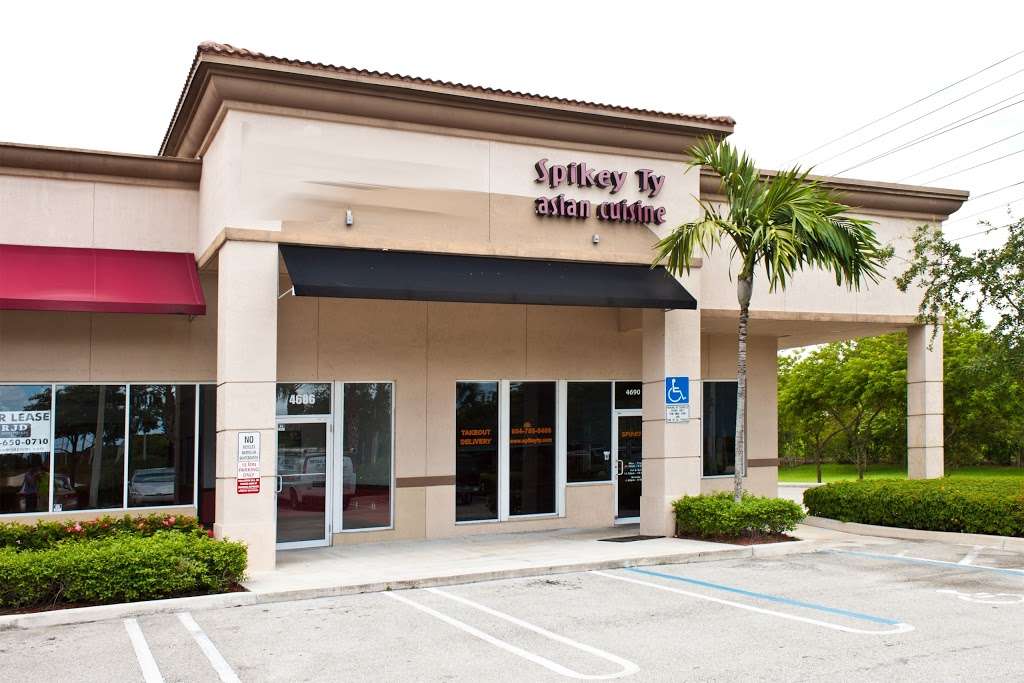 Spikey Ty | 4690 Coral Ridge Dr, Coral Springs, FL 33076, USA | Phone: (954) 753-5489