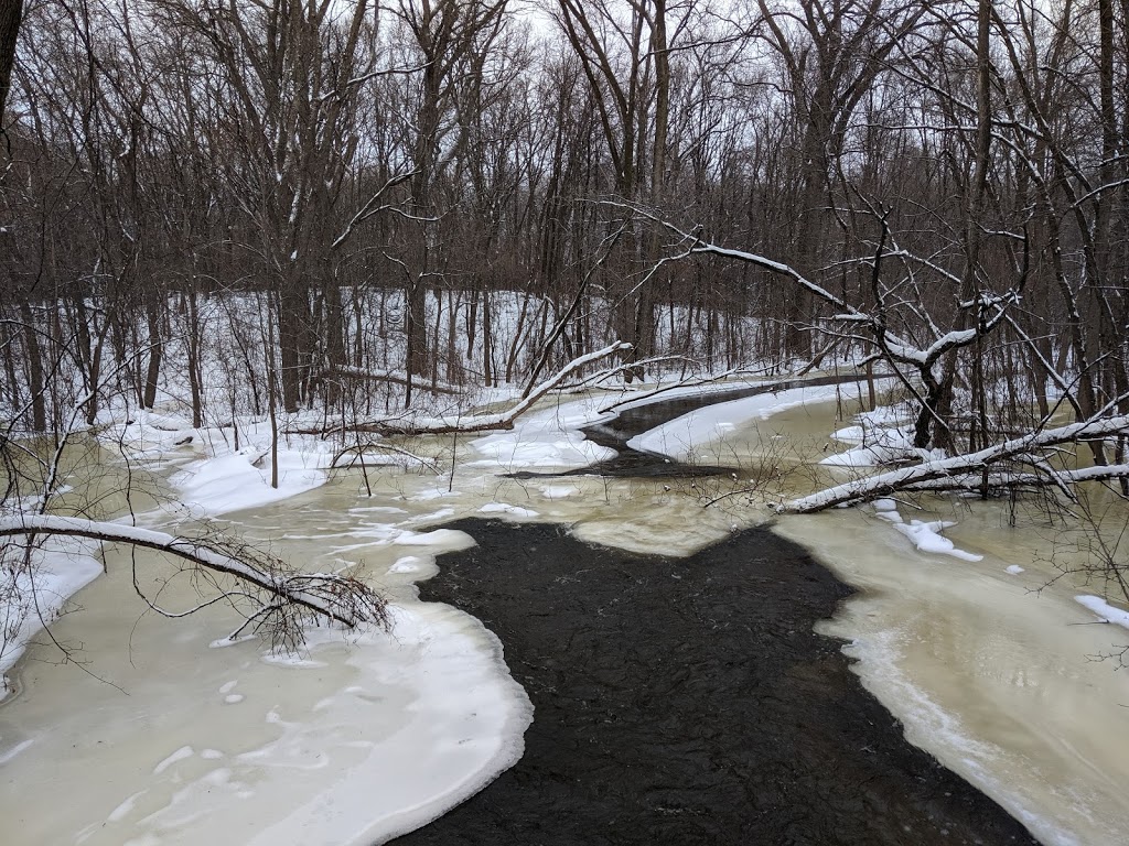 Locke County Dog Park | Rice Creek West Regional Trail, Fridley, MN 55432, USA | Phone: (763) 757-3920