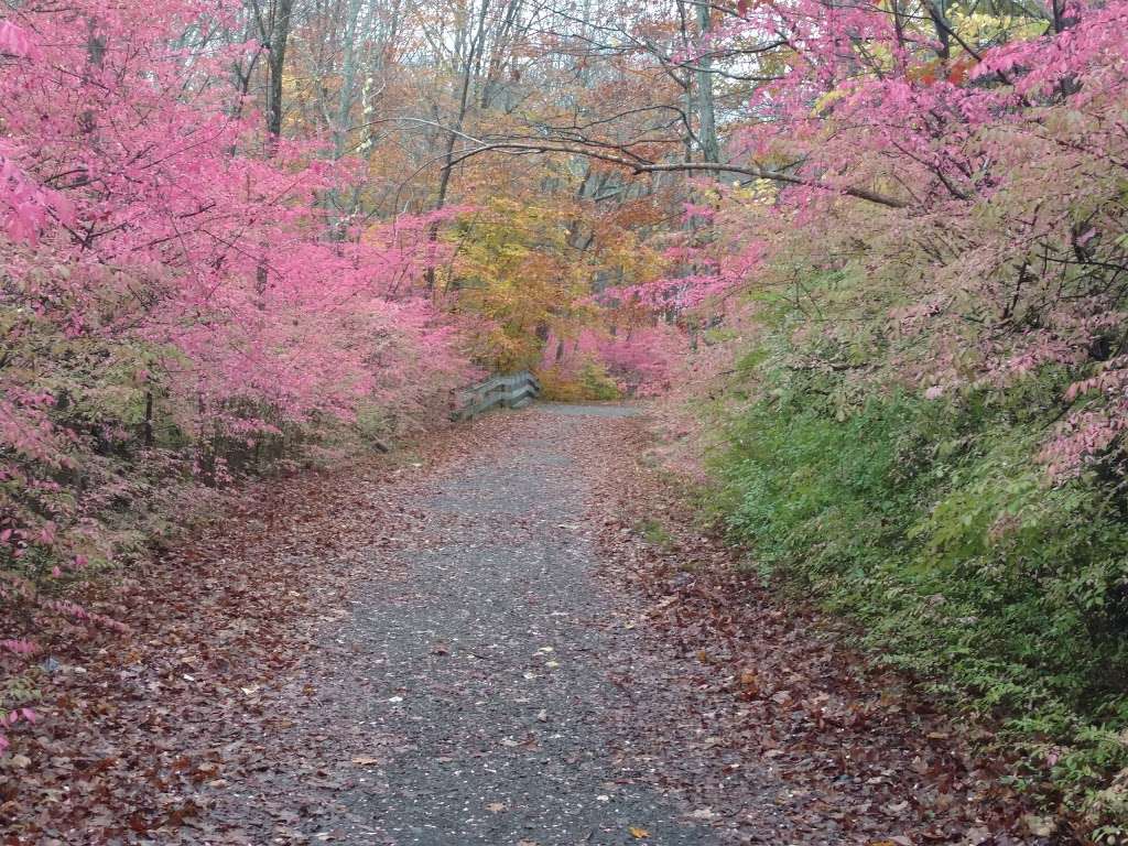 Long Pond Ironworks State Park | Ringwood, NJ 07456, USA