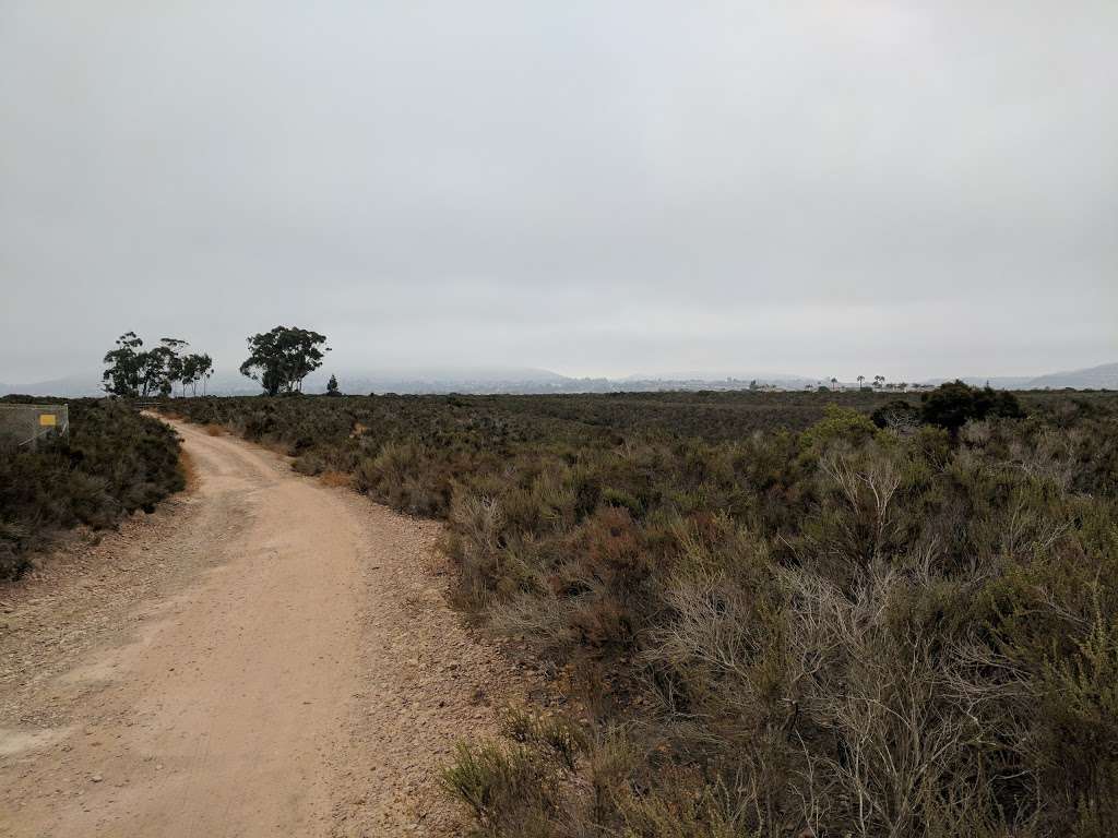 Vernal Pool | San Diego, CA 92129, USA