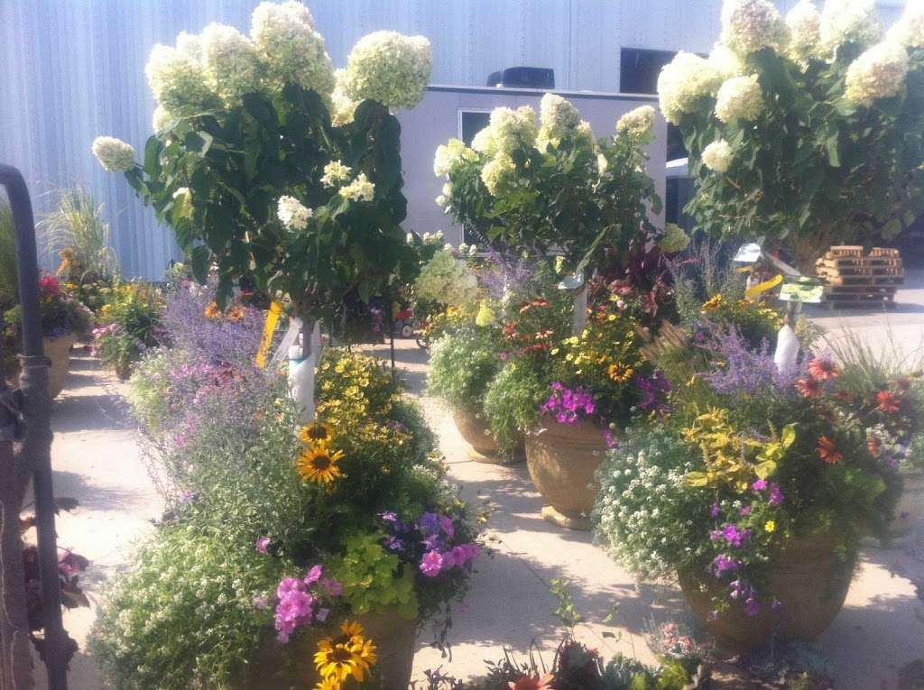 Salsbery Garden Center | 6346 W Broadway, McCordsville, IN 46055 | Phone: (317) 335-5550