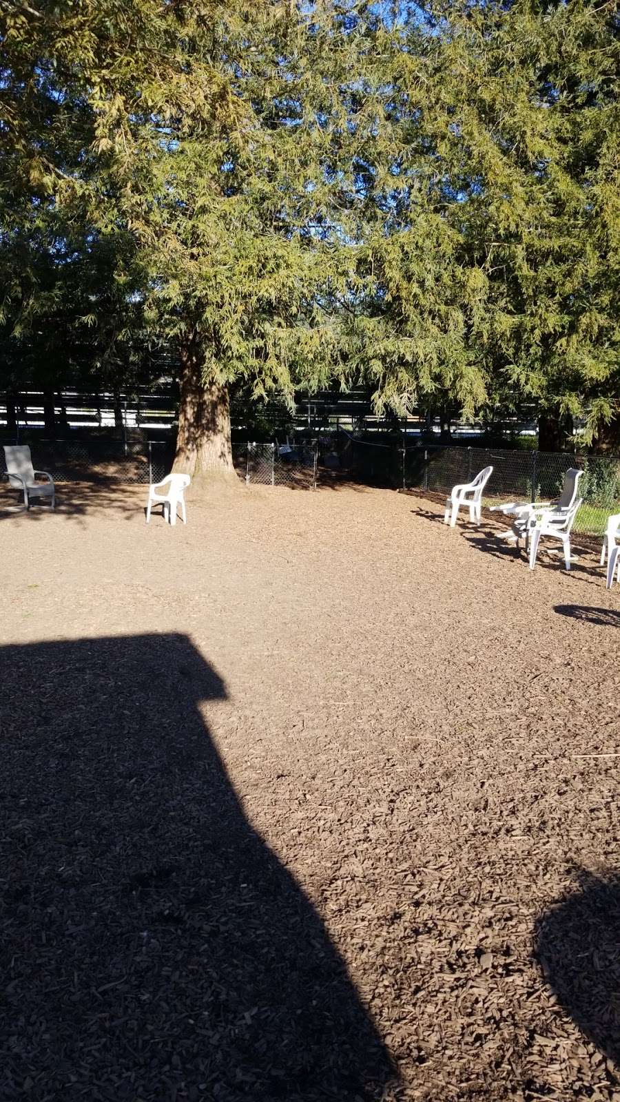 Rincon Valley Community Dog Park | 5108 Badger Rd, Santa Rosa, CA 95409, USA | Phone: (707) 543-3753