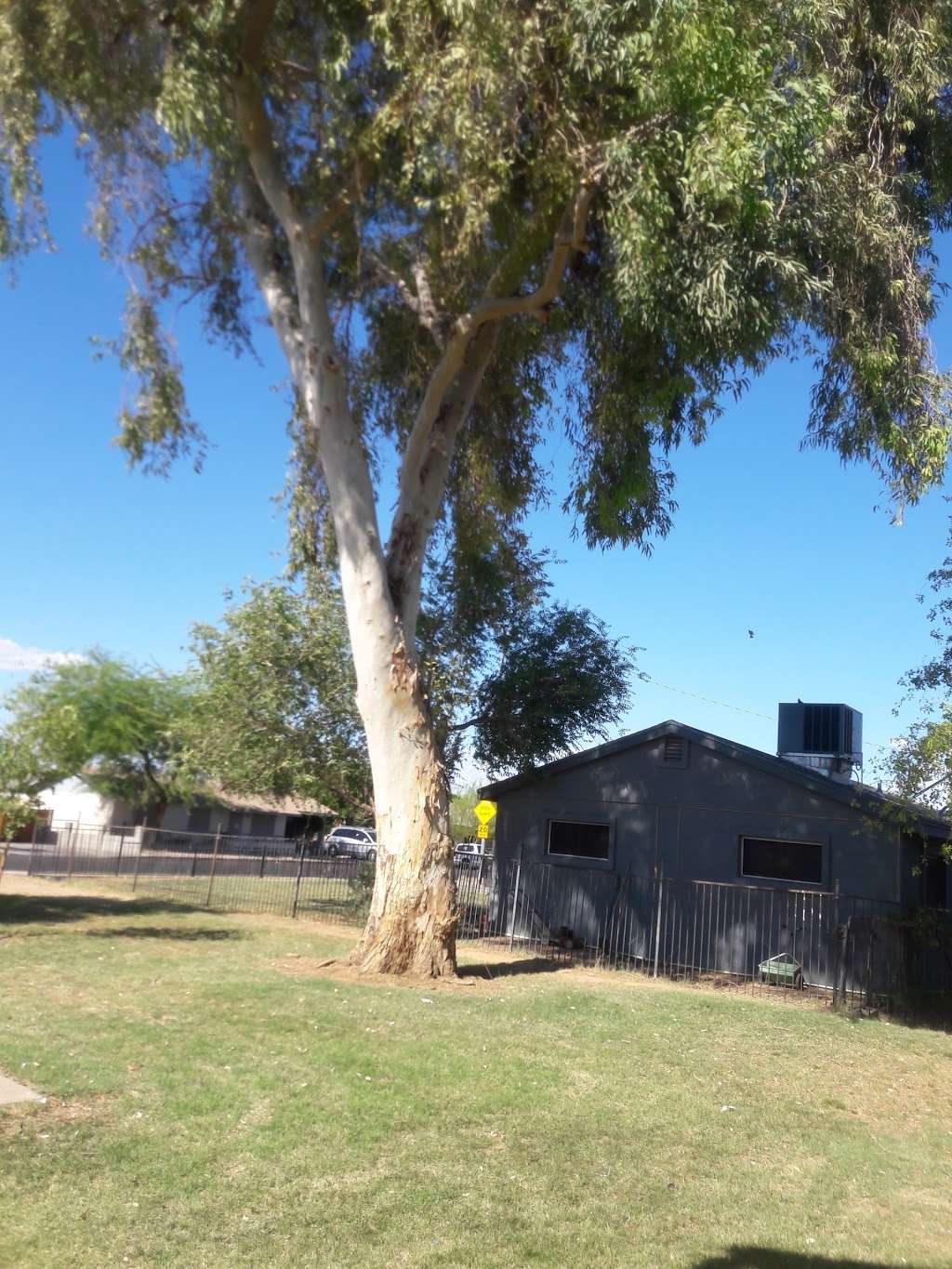 East Mini Park | 605 E Erie St, Chandler, AZ 85225 | Phone: (480) 782-2727