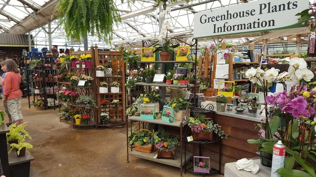 Merrifield Garden Center | 12101 Lee Hwy, Fairfax, VA 22030, USA | Phone: (703) 968-9600