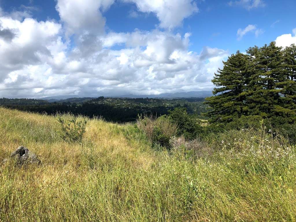 Lookout Trail Trailhead | Santa Cruz, CA 95060, USA