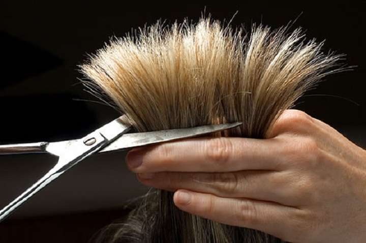 Cutting Up | 100 N Camden Ave, Fruitland, MD 21826, USA | Phone: (410) 860-0057