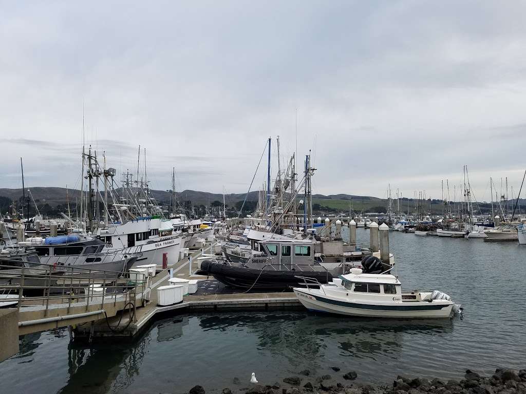 Spud Point Marina | Bodega Bay, CA 94923