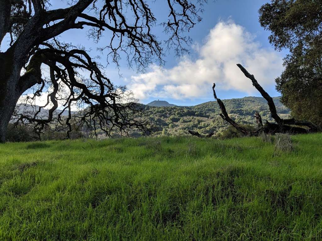 Almaden Quicksilver Hike | 17571 McAbee Rd, San Jose, CA 95120 | Phone: (408) 268-3883