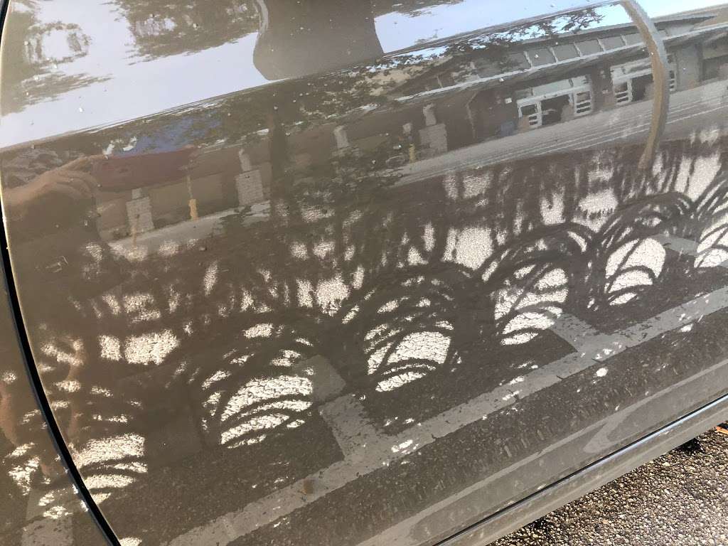 SO FRESH SO CLEAN CAR WASH | 2210 N Federal Hwy, Delray Beach, FL 33483, USA | Phone: (561) 213-4512