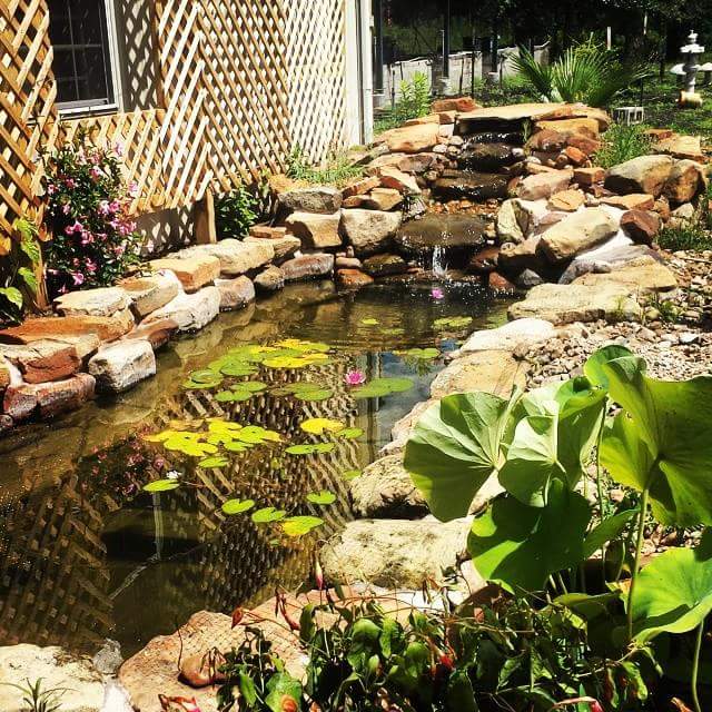 Lowes Water Gardens & Etc | 9700 Farm to Market Rd 1488, Magnolia, TX 77354, USA | Phone: (281) 259-2509