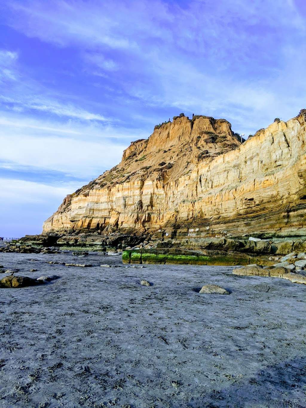 North Bluff Preserve | Del Mar, CA 92014, USA