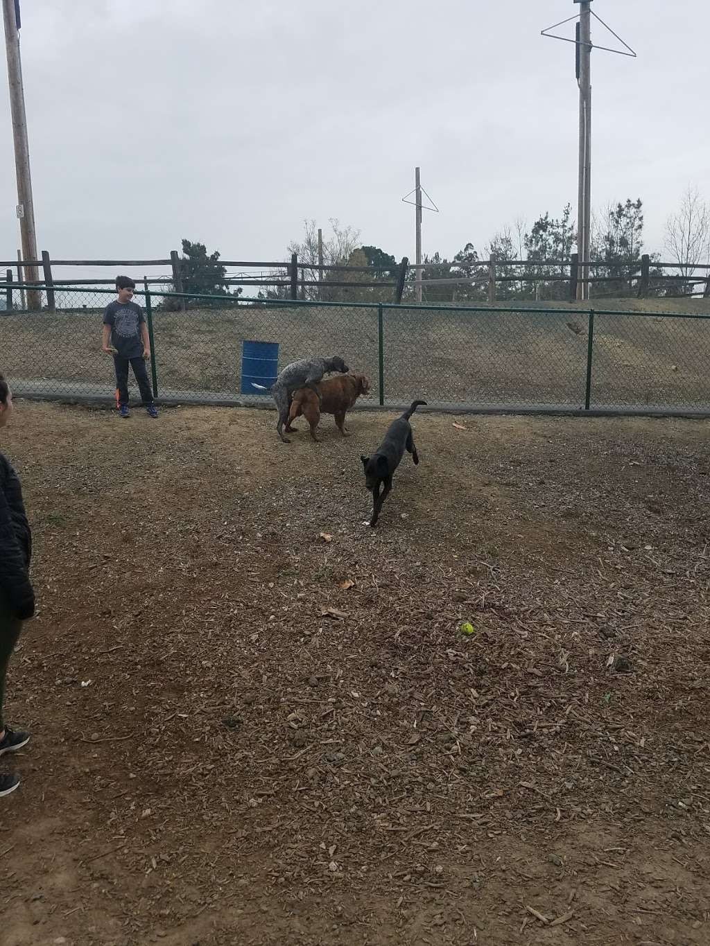 Martinez Dog Park | 115 Tarantino Dr, Martinez, CA 94553, USA