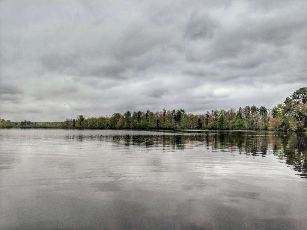 Union Lake Wildlife Management Area | County Rd 552, Millville, NJ 08332, USA