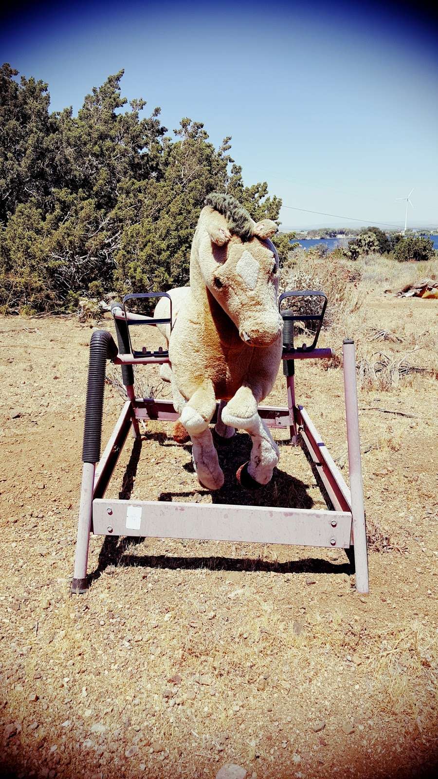 Lonely Rocking Horse | 161 Hacienda Dr, Palmdale, CA 93551