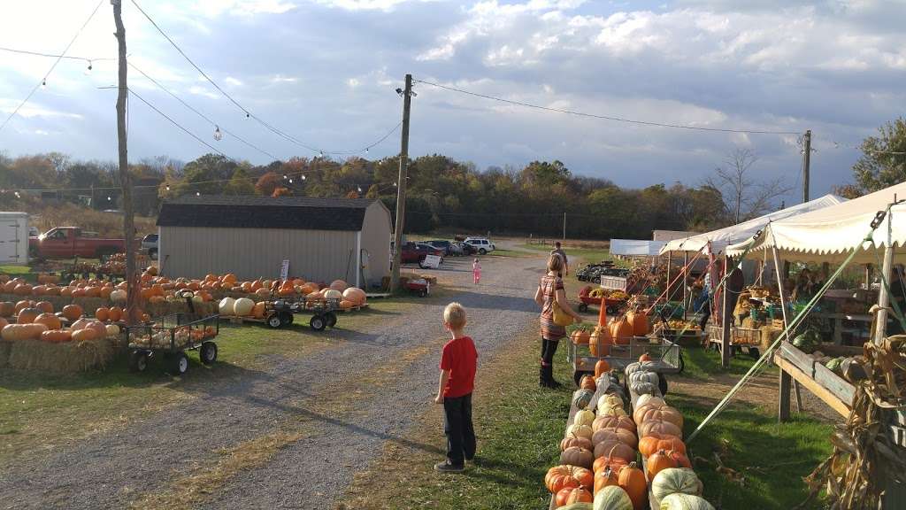 Town & Country Nursery | 1885 Darke Ln, Kearneysville, WV 25430 | Phone: (304) 725-1252