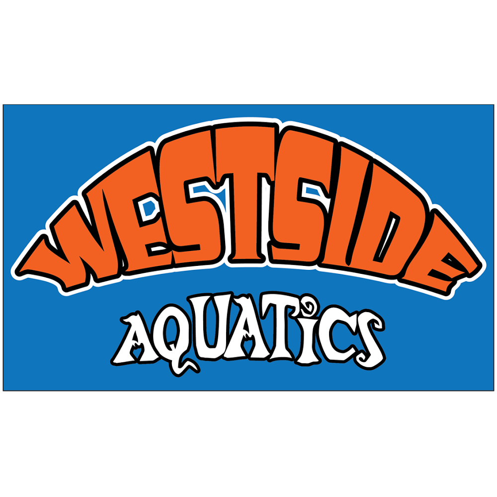 Westside Aquatics | 15777 Bowdoin St, Pacific Palisades, CA 90272, United States | Phone: (310) 745-7111