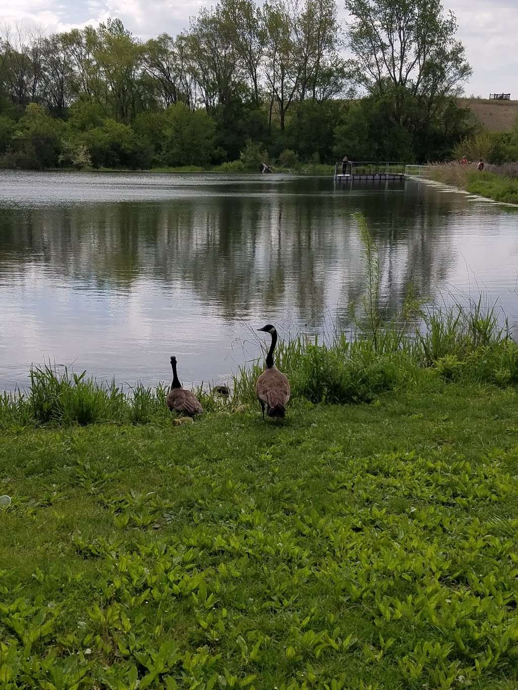 Barbara Key Park | Lake in the Hills, IL 60156, USA | Phone: (847) 960-7460