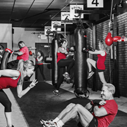 9Round Platte City | 2407 NW Prairie View Rd, Platte City, MO 64079, USA | Phone: (816) 858-6335