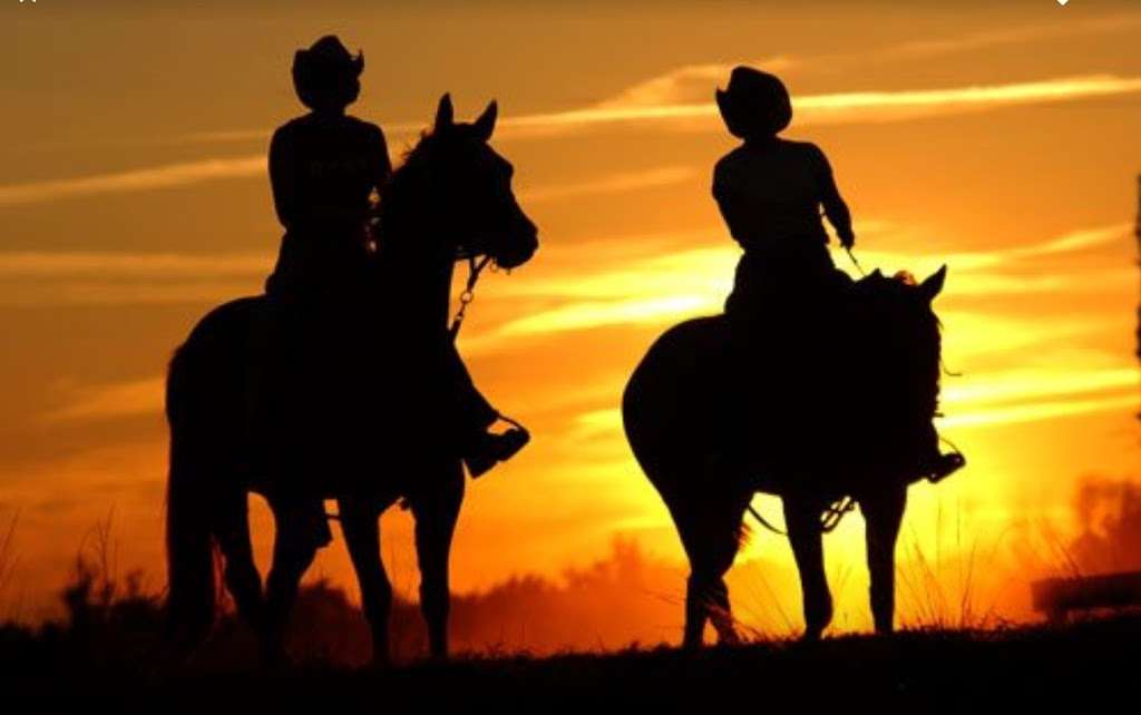 Deep Creek Stables | 2270 S Co Rd 3, Pierson, FL 32180, USA | Phone: (386) 985-0520