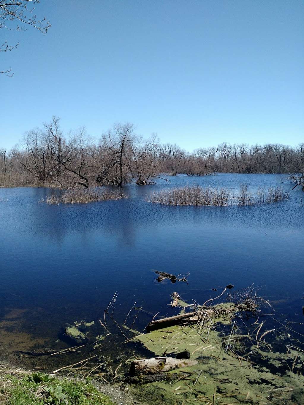 Kankakee State Fish and Wildlife Area | 4320 S Toto Rd, North Judson, IN 46366, USA | Phone: (574) 896-3522