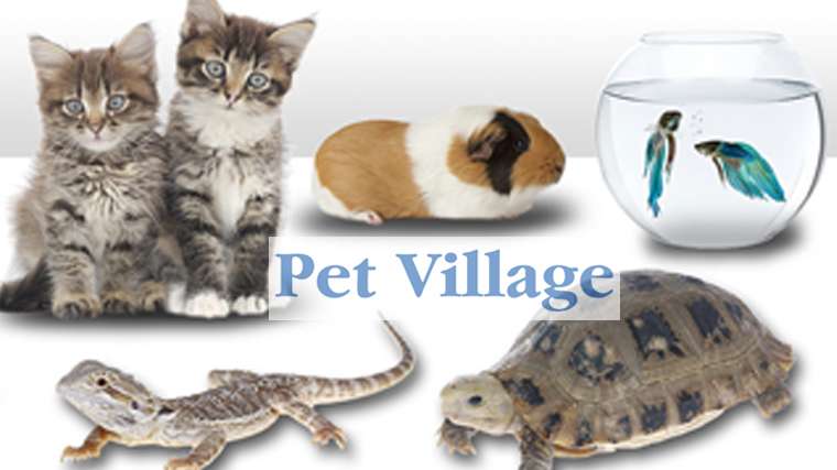 Pet Village | 5610 Old York Rd, Rock Hill, SC 29732 | Phone: (803) 366-7350