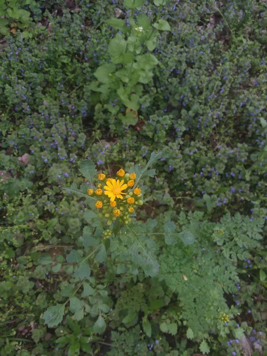 Derby Downs Park | Unnamed Road, Anderson, IN 46016, USA