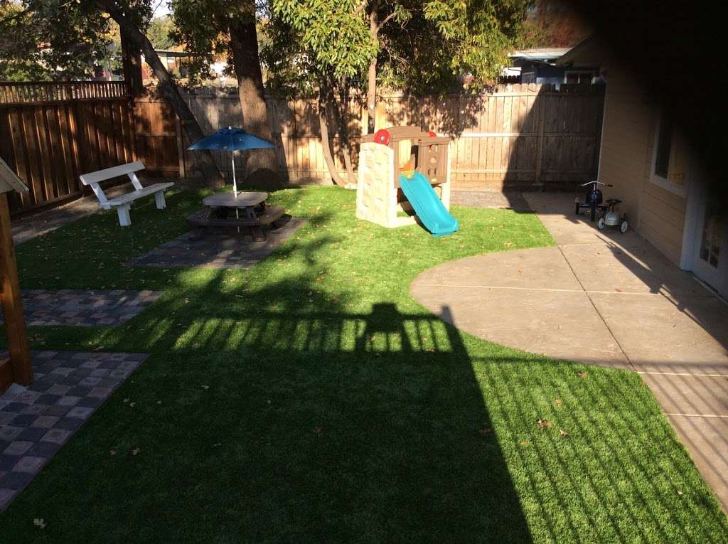 Tree House Daycare | 1006 Temple Dr, Pacheco, CA 94553 | Phone: (925) 725-5901