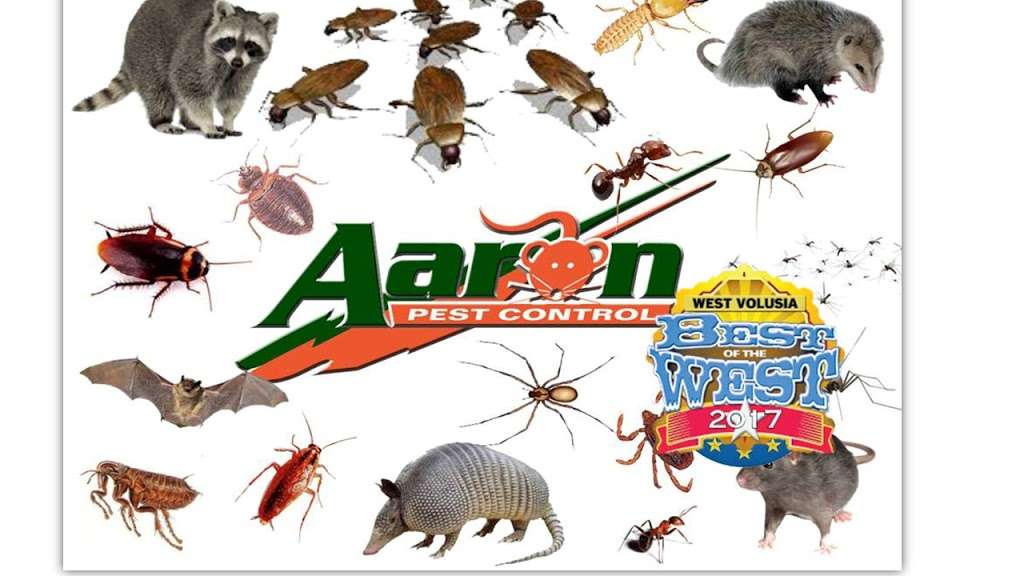 Aaron Pest Control | 3200 N Woodland Blvd, DeLand, FL 32720 | Phone: (386) 734-6911