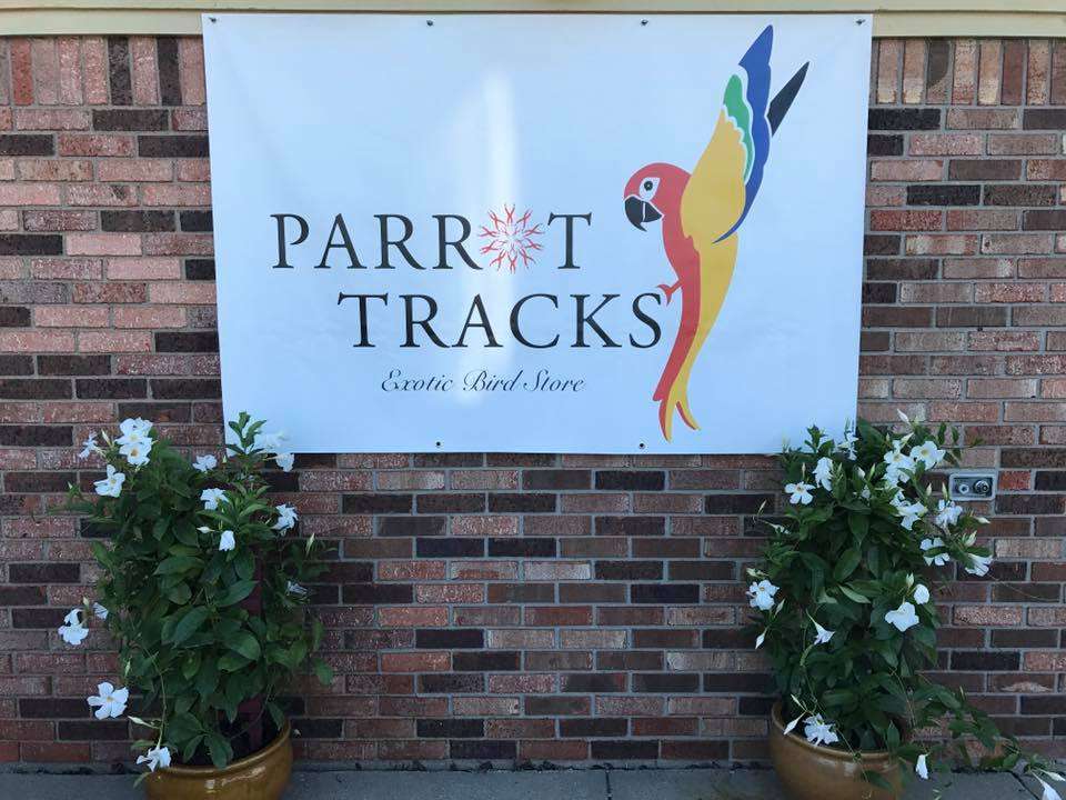 Parrot Tracks Exotic Bird Store | 410 E Main St, Chesterfield, IN 46017, USA | Phone: (765) 387-0373