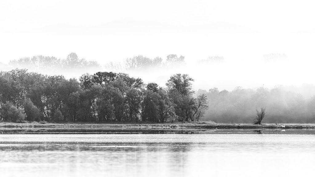 Sauvie Island Wildlife Area | Portland, OR 97231, USA | Phone: (503) 621-3488