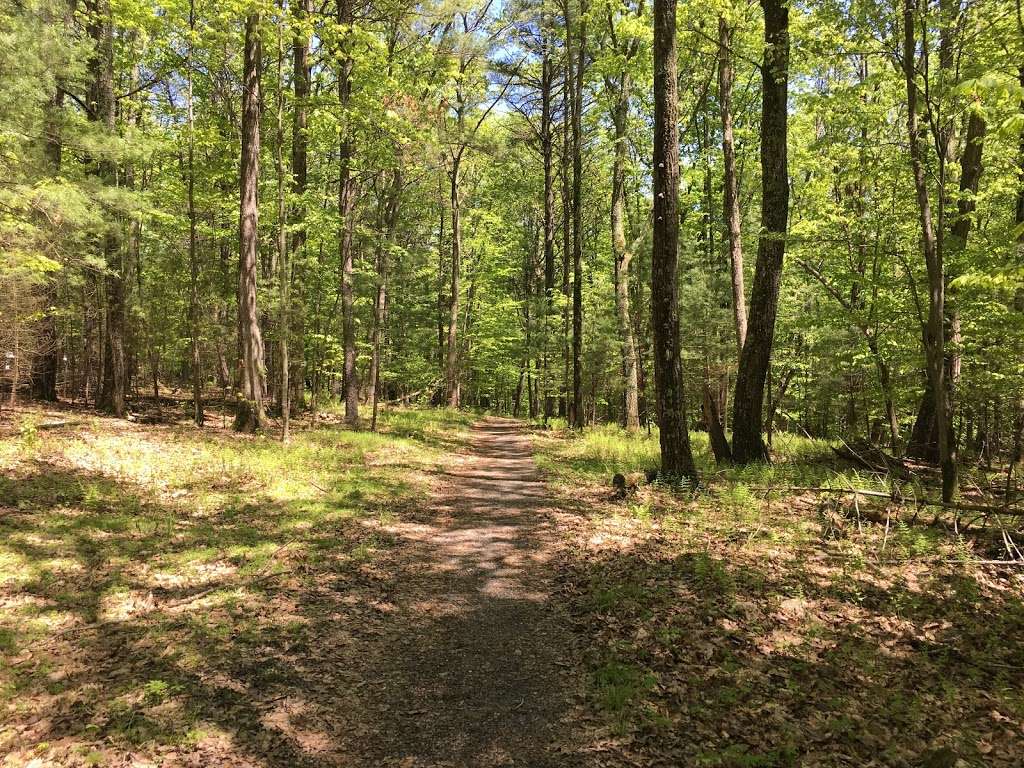 chestnuthill township deck permit