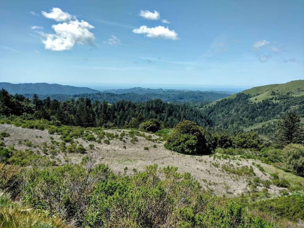 Skyline Ridge Open Space Preserve | 330 Distel Cir, Los Altos, CA 94022, USA | Phone: (650) 691-1200