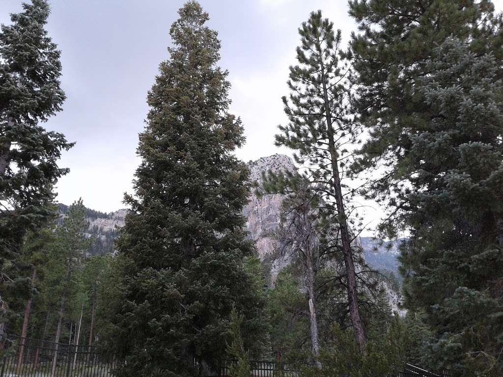 CATHEDRAL ROCK PICNIC AREA | Toiyabe, Coleville, NV 96107, USA | Phone: (801) 226-3564